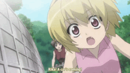 rika smaller truck.gif